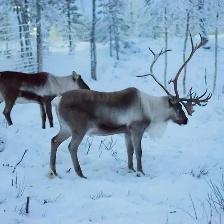 Hideaway Alpesi faház
